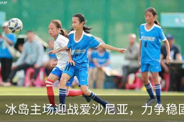 冰岛主场迎战爱沙尼亚，力争稳固胜局